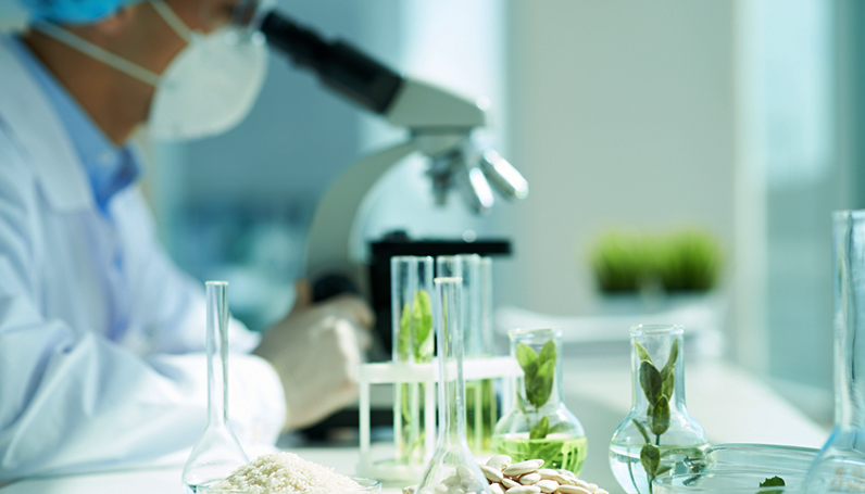 Z6�������й��ٷ���վ