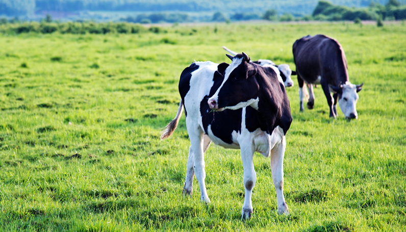 Z6�������й��ٷ���վ