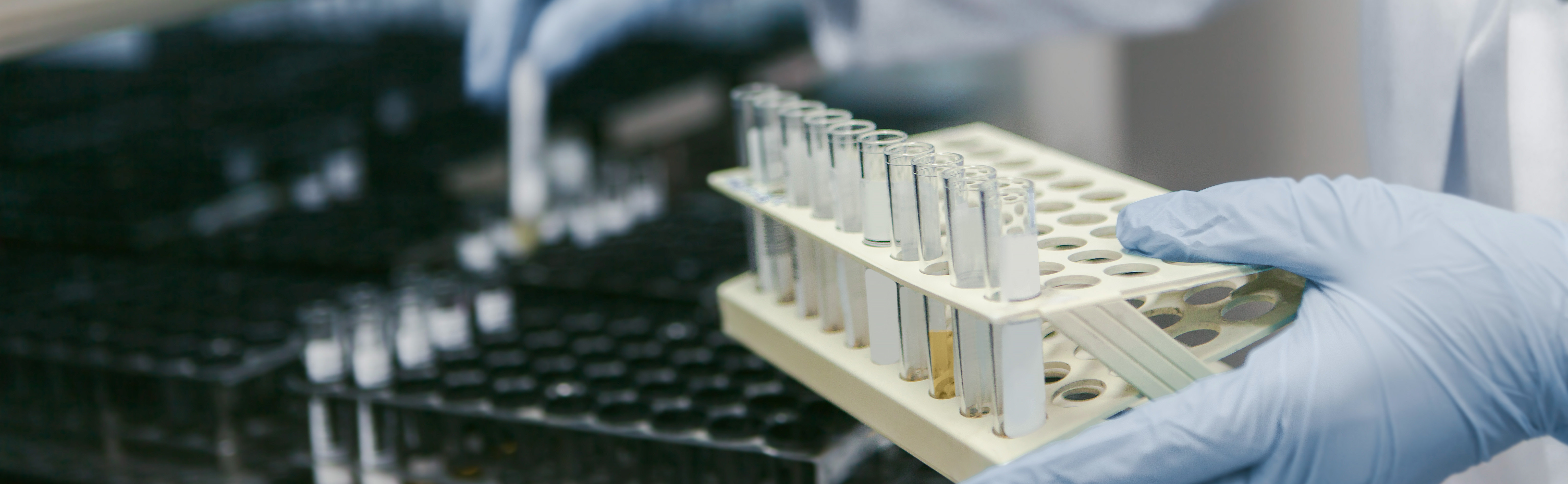 Z6�������й��ٷ���վ