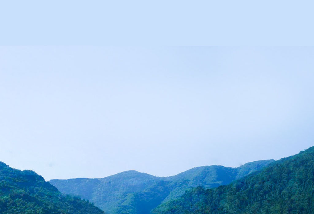 Z6�������й��ٷ���վ